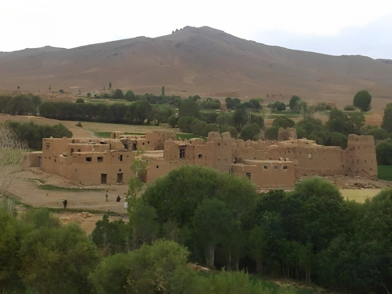 The Taliban beat up several youths in Behsud Center