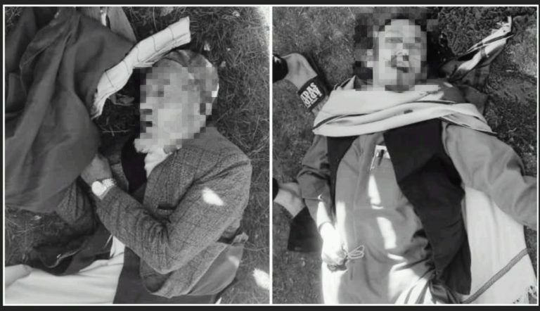 دو عالم دینی هزاره توسط طالبان در هرات تیرباران شدند